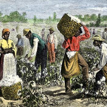 Illustration of enslaved African Americans picking cotton in a field with baskets during the 1800s.